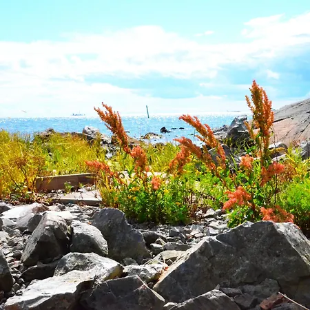 Suomenlinna * הלסינקי